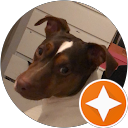 Elython Sales profile picture